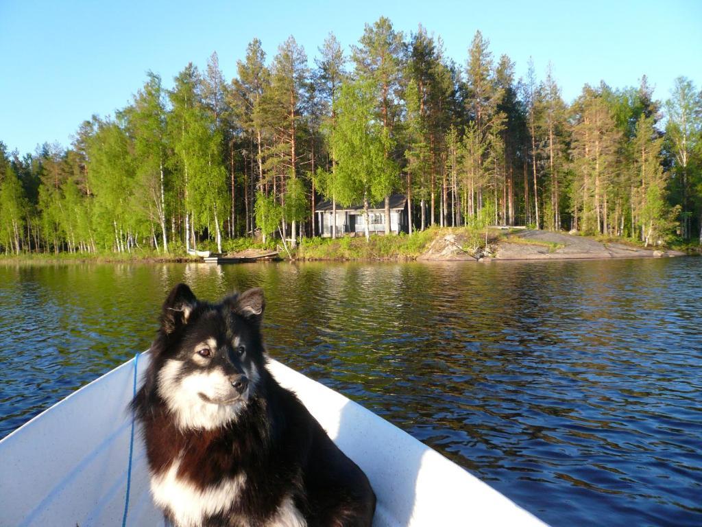 B&B Lomamokkila Savonlinna Εξωτερικό φωτογραφία